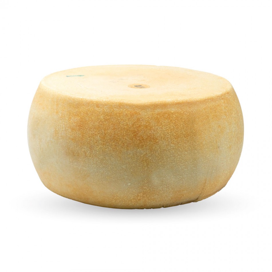 Parmigiano Reggiano Π.Ο.Π. ρόδα  Zanetti 